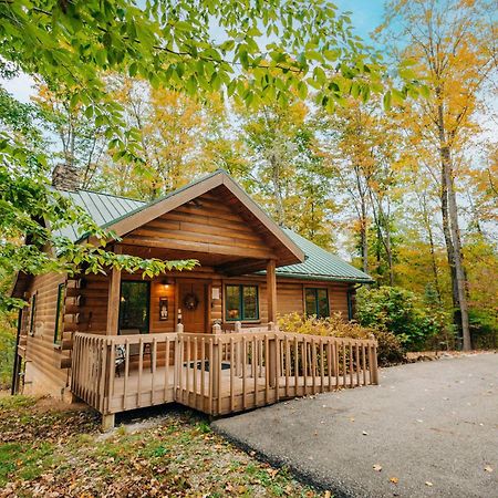 Ferngully Creek Cabins Millersburg Zewnętrze zdjęcie